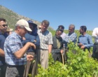 برگزاری کارگاه آموزشی هرس سبز انگور با مشارکت گسترده باغداران در روستای بهرام‌آباد سروآباد