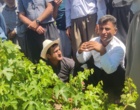 برگزاری کارگاه آموزشی هرس سبز انگور با مشارکت گسترده باغداران در روستای بهرام‌آباد سروآباد