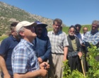 برگزاری کارگاه آموزشی هرس سبز انگور با مشارکت گسترده باغداران در روستای بهرام‌آباد سروآباد