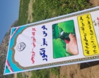 برگزاری کارگاه آموزشی هرس سبز انگور با مشارکت گسترده باغداران در روستای بهرام‌آباد سروآباد