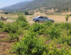 برگزاری کارگاه آموزشی هرس سبز انگور با مشارکت گسترده باغداران در روستای بهرام‌آباد سروآباد
