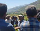 برگزاری کارگاه آموزشی هرس سبز انگور با مشارکت گسترده باغداران در روستای بهرام‌آباد سروآباد