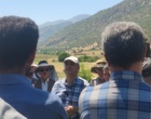 برگزاری کارگاه آموزشی هرس سبز انگور با مشارکت گسترده باغداران در روستای بهرام‌آباد سروآباد