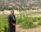 برگزاری کارگاه آموزشی هرس سبز انگور با مشارکت گسترده باغداران در روستای بهرام‌آباد سروآباد