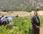برگزاری کارگاه آموزشی هرس سبز انگور با مشارکت گسترده باغداران در روستای بهرام‌آباد سروآباد
