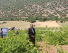 برگزاری کارگاه آموزشی هرس سبز انگور با مشارکت گسترده باغداران در روستای بهرام‌آباد سروآباد