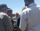 برگزاری کارگاه آموزشی هرس سبز انگور با مشارکت گسترده باغداران در روستای بهرام‌آباد سروآباد