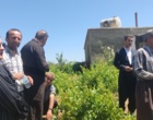 برگزاری کارگاه آموزشی هرس سبز انگور با مشارکت گسترده باغداران در روستای بهرام‌آباد سروآباد