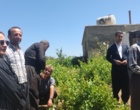 برگزاری کارگاه آموزشی هرس سبز انگور با مشارکت گسترده باغداران در روستای بهرام‌آباد سروآباد