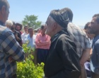 برگزاری کارگاه آموزشی هرس سبز انگور با مشارکت گسترده باغداران در روستای بهرام‌آباد سروآباد