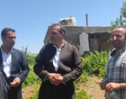 برگزاری کارگاه آموزشی هرس سبز انگور با مشارکت گسترده باغداران در روستای بهرام‌آباد سروآباد