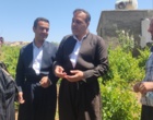 برگزاری کارگاه آموزشی هرس سبز انگور با مشارکت گسترده باغداران در روستای بهرام‌آباد سروآباد