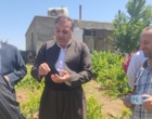 برگزاری کارگاه آموزشی هرس سبز انگور با مشارکت گسترده باغداران در روستای بهرام‌آباد سروآباد