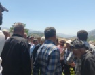 برگزاری کارگاه آموزشی هرس سبز انگور با مشارکت گسترده باغداران در روستای بهرام‌آباد سروآباد