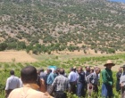 برگزاری کارگاه آموزشی هرس سبز انگور با مشارکت گسترده باغداران در روستای بهرام‌آباد سروآباد