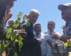 برگزاری کارگاه آموزشی هرس سبز انگور با مشارکت گسترده باغداران در روستای بهرام‌آباد سروآباد