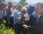 برگزاری کارگاه آموزشی هرس سبز انگور با مشارکت گسترده باغداران در روستای بهرام‌آباد سروآباد