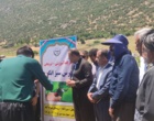 برگزاری کارگاه آموزشی هرس سبز انگور با مشارکت گسترده باغداران در روستای بهرام‌آباد سروآباد