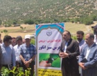 برگزاری کارگاه آموزشی هرس سبز انگور با مشارکت گسترده باغداران در روستای بهرام‌آباد سروآباد
