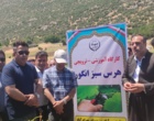 برگزاری کارگاه آموزشی هرس سبز انگور با مشارکت گسترده باغداران در روستای بهرام‌آباد سروآباد