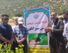 برگزاری کارگاه آموزشی هرس سبز انگور با مشارکت گسترده باغداران در روستای بهرام‌آباد سروآباد