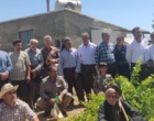 برگزاری کارگاه آموزشی هرس سبز انگور با مشارکت گسترده باغداران در روستای بهرام‌آباد سروآباد