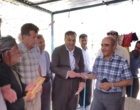 برگزاری کارگاه آموزشی هرس سبز انگور با مشارکت گسترده باغداران در روستای بهرام‌آباد سروآباد