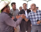 برگزاری کارگاه آموزشی هرس سبز انگور با مشارکت گسترده باغداران در روستای بهرام‌آباد سروآباد