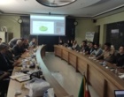 سومین روز سفر علمی «پیشرانان گیاهان دارویی ایران» به کردستان با برگزاری نشست‌های تخصصی در اداره کل منابع طبیعی و اتاق بازرگانی سنندج