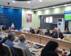 سومین روز سفر علمی «پیشرانان گیاهان دارویی ایران» به کردستان با برگزاری نشست‌های تخصصی در اداره کل منابع طبیعی و اتاق بازرگانی سنندج