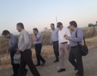 ظرفیت‌های پژوهشی و برنامه‌های حفاظت از بز مرخز در ایستگاه تحقیقات کشاورزی سارال ارزیابی شد