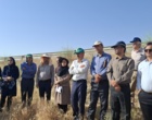 آموزش میدانی مدیریت تغذیه گیاه در بستر مزرعه نمایشی؛ پیوند دانش، پژوهش و اجرا در دهگلان