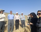 آموزش میدانی مدیریت تغذیه گیاه در بستر مزرعه نمایشی؛ پیوند دانش، پژوهش و اجرا در دهگلان
