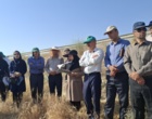 آموزش میدانی مدیریت تغذیه گیاه در بستر مزرعه نمایشی؛ پیوند دانش، پژوهش و اجرا در دهگلان