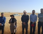 آموزش میدانی مدیریت تغذیه گیاه در بستر مزرعه نمایشی؛ پیوند دانش، پژوهش و اجرا در دهگلان