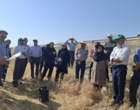 آموزش میدانی مدیریت تغذیه گیاه در بستر مزرعه نمایشی؛ پیوند دانش، پژوهش و اجرا در دهگلان