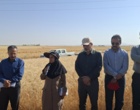 آموزش میدانی مدیریت تغذیه گیاه در بستر مزرعه نمایشی؛ پیوند دانش، پژوهش و اجرا در دهگلان