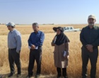 آموزش میدانی مدیریت تغذیه گیاه در بستر مزرعه نمایشی؛ پیوند دانش، پژوهش و اجرا در دهگلان