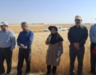 آموزش میدانی مدیریت تغذیه گیاه در بستر مزرعه نمایشی؛ پیوند دانش، پژوهش و اجرا در دهگلان