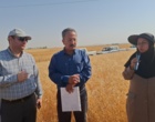 آموزش میدانی مدیریت تغذیه گیاه در بستر مزرعه نمایشی؛ پیوند دانش، پژوهش و اجرا در دهگلان