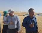 آموزش میدانی مدیریت تغذیه گیاه در بستر مزرعه نمایشی؛ پیوند دانش، پژوهش و اجرا در دهگلان