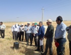 آموزش میدانی مدیریت تغذیه گیاه در بستر مزرعه نمایشی؛ پیوند دانش، پژوهش و اجرا در دهگلان