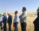 آموزش میدانی مدیریت تغذیه گیاه در بستر مزرعه نمایشی؛ پیوند دانش، پژوهش و اجرا در دهگلان