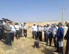 آموزش میدانی مدیریت تغذیه گیاه در بستر مزرعه نمایشی؛ پیوند دانش، پژوهش و اجرا در دهگلان