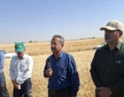 آموزش میدانی مدیریت تغذیه گیاه در بستر مزرعه نمایشی؛ پیوند دانش، پژوهش و اجرا در دهگلان