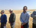 آموزش میدانی مدیریت تغذیه گیاه در بستر مزرعه نمایشی؛ پیوند دانش، پژوهش و اجرا در دهگلان