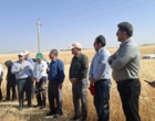 آموزش میدانی مدیریت تغذیه گیاه در بستر مزرعه نمایشی؛ پیوند دانش، پژوهش و اجرا در دهگلان