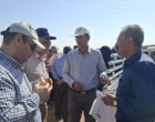 آموزش میدانی مدیریت تغذیه گیاه در بستر مزرعه نمایشی؛ پیوند دانش، پژوهش و اجرا در دهگلان