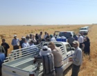 آموزش میدانی مدیریت تغذیه گیاه در بستر مزرعه نمایشی؛ پیوند دانش، پژوهش و اجرا در دهگلان