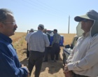 آموزش میدانی مدیریت تغذیه گیاه در بستر مزرعه نمایشی؛ پیوند دانش، پژوهش و اجرا در دهگلان